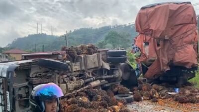Kecelakaan Beruntun Dum Truk Pengangkut Sawit Hingga Terbalik