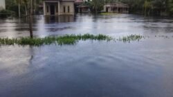Ribuan Jiwa Terdampak Banjir di 4 Dusun. Kubu Raya Bakal Status Siaga Banjir