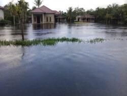 Ribuan Jiwa Terdampak Banjir di 4 Dusun. Kubu Raya Bakal Status Siaga Banjir