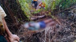 Lansia 91 tahun Ditemukan tak Bernyawa di Areal Kebun