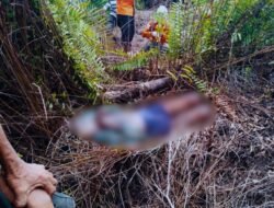Lansia 91 Tahun Ditemukan tak Bernyawa di Areal Kebun