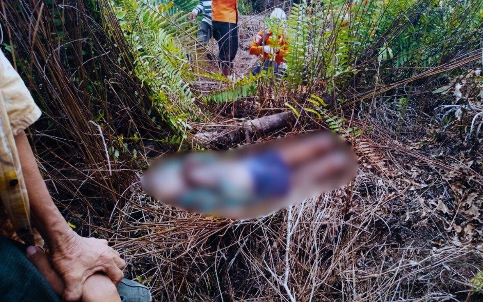 Lansia 91 tahun Ditemukan tak Bernyawa di Areal Kebun