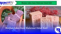 Manfaat Sabun Asam Hialuronat Untuk Kulit