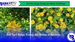 Arti Hari Bunga Kuning dan Makna di Baliknya