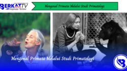 Mengenal Primata Melalui Studi Primatologi