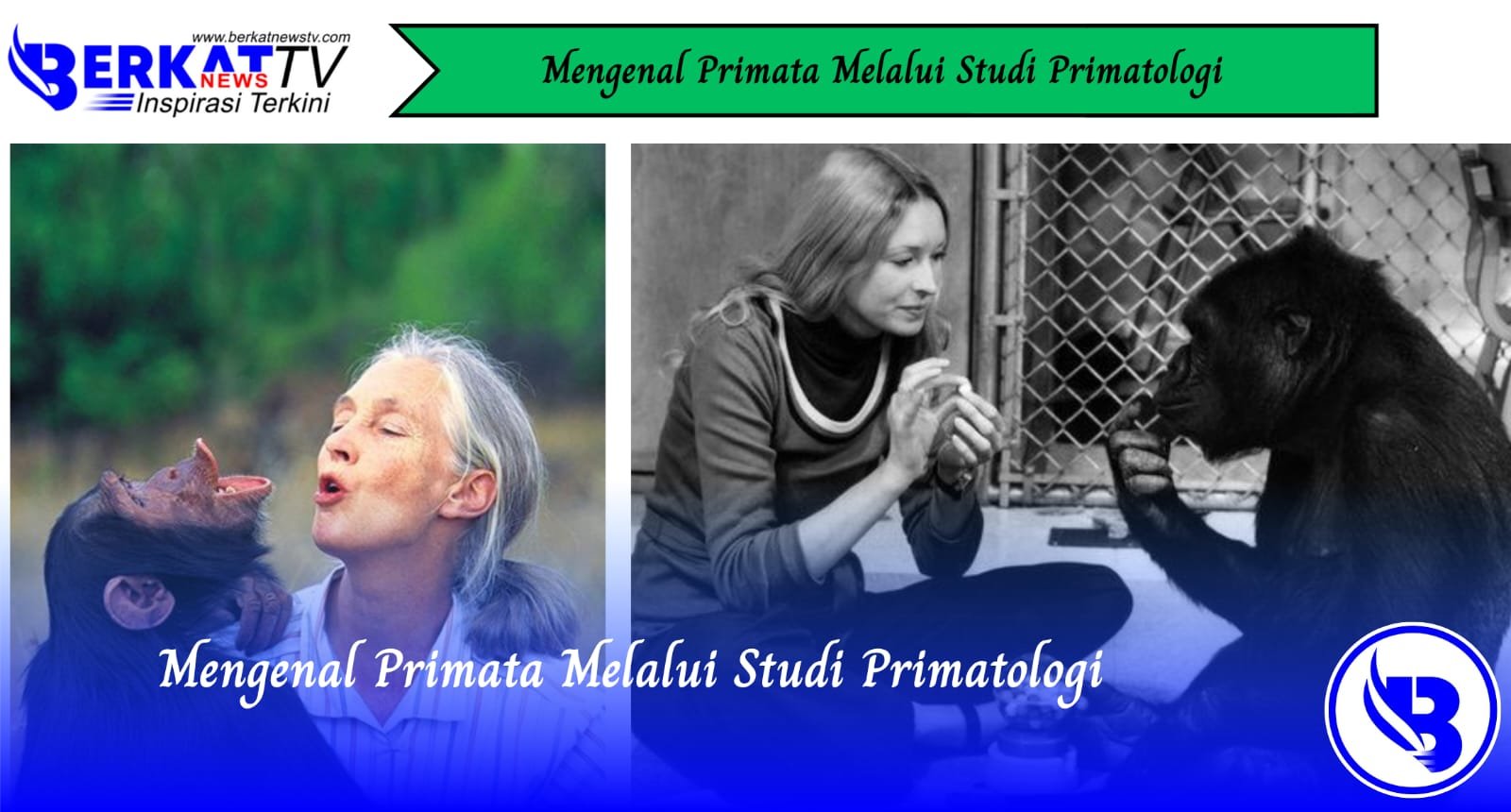 Mengenal Primata Melalui Studi Primatologi