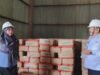 Bulog Sebut Stok Beras Sanggau 700 Ton