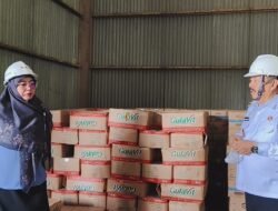 Bulog Sebut Stok Beras Sanggau 700 Ton