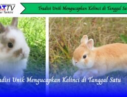 Tradisi Unik Mengucapkan Kelinci di Tanggal Satu