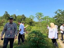 Masuk Kawasan Pertanian, Sekolah Rakyat Dipindahkan ke Lahan Eks Gafatar