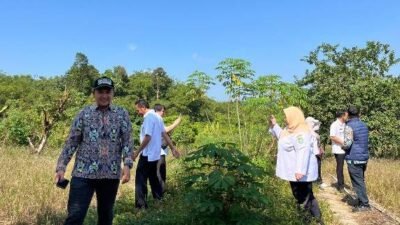 Masuk Kawasan Pertanian, Sekolah Rakyat Dipindahkan ke Lahan Eks Gafatar
