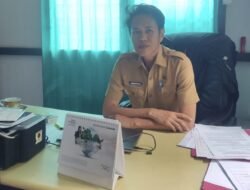 NIPPPK 117 Orang PPPK Paruh Waktu Masih Diproses BKN