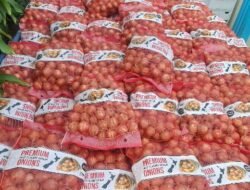437 Kasus Pabean dan Cukai di Kalbar Capai Rp274 Miliar