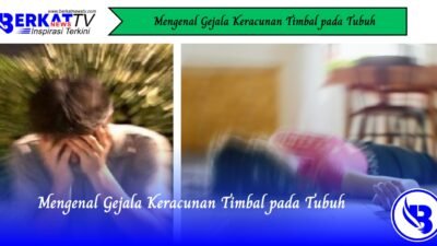 Mengenal Gejala Keracunan Timbal pada Tubuh