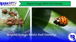 Mengenal Serangga Melalui Studi Entomologi