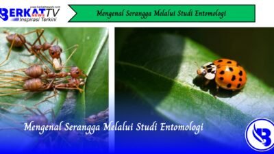 Mengenal Serangga Melalui Studi Entomologi