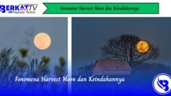 Fenomena Harvest Moon dan Keindahannya Fenomena Harvest Moon dan Keindahannya