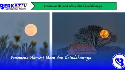 Fenomena Harvest Moon dan Keindahannya
