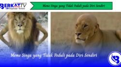 Meme Singa yang Tidak Peduli pada Diri Sendiri