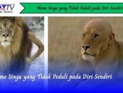 Meme Singa yang Tidak Peduli pada Diri Sendiri