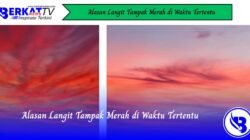 Alasan Langit Tampak Merah di Waktu Tertentu