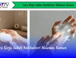 Cara Kerja Sabun Antibakteri Melawan Kuman