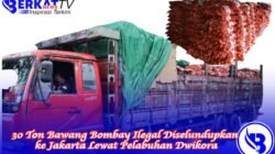 30 Ton Bawang Bombay Ilegal akan Diselundupkan ke Jakarta Lewat Pelabuhan Dwikora