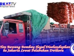 30 Ton Bawang Bombay Ilegal akan Diselundupkan ke Jakarta Lewat Pelabuhan Dwikora