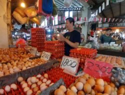 Harga Komoditas Pangan Mulai Merangkak Naik