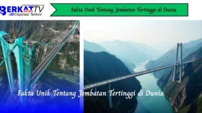 Fakta Unik Tentang Jembatan Tertinggi di Dunia