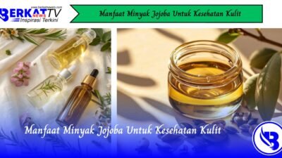 Manfaat Minyak Jojoba Untuk Kesehatan Kulit