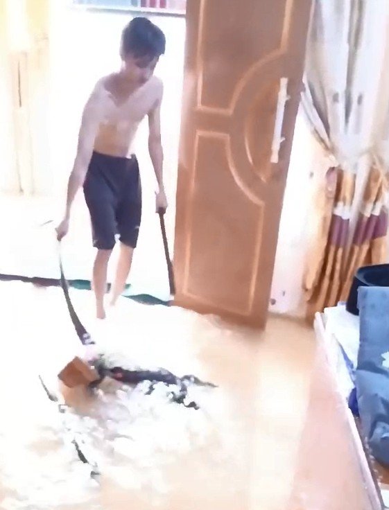 Banjir Rob, Biawak "Bertamu" ke Rumah Warga