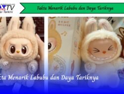 Fakta Menarik Labubu dan Daya Tariknya