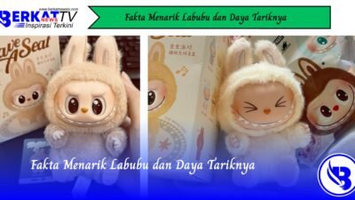 Fakta Menarik Labubu dan Daya Tariknya