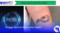Mengapa Aquarius Begitu Keras Kepala?