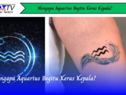 Mengapa Aquarius Begitu Keras Kepala?