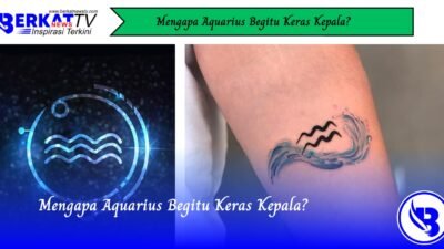 Mengapa Aquarius Begitu Keras Kepala?