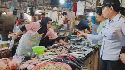 Jelang Nataru, Harga Sembako Stabil Kenaikan Masih Wajar