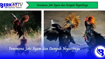 Fenomena Joki Ayam dan Dampak Negatifnya