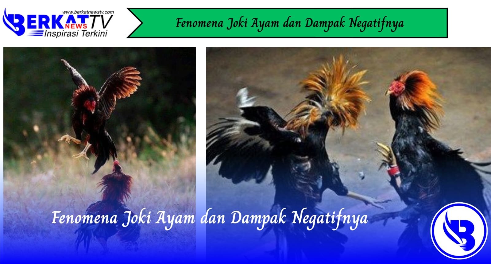Fenomena Joki Ayam dan Dampak Negatifnya