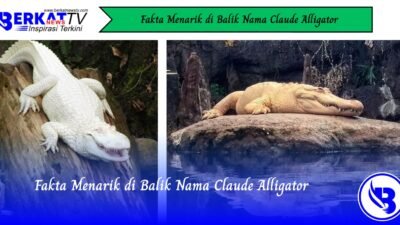 Fakta Menarik di Balik Nama Claude Alligator