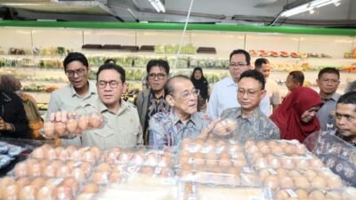 Menteri Perdagangan Sebut Harga Pangan Masih Stabil Jelang Nataru