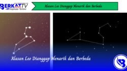 Alasan Leo Dianggap Menarik dan Berbeda