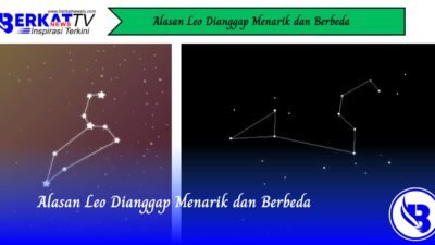 Alasan Leo Dianggap Menarik dan Berbeda