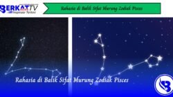 Rahasia di Balik Sifat Murung Zodiak Pisces
