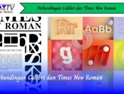 Perbandingan Calibri dan Times New Roman