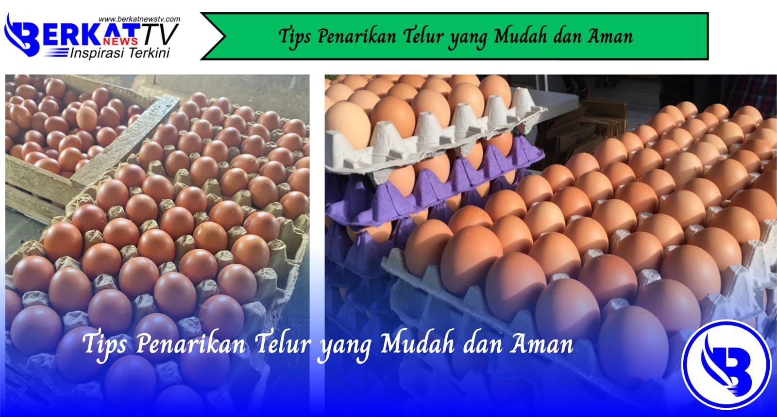 Tips Penarikan Telur yang Mudah dan Aman