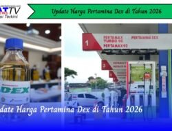 Update Harga Pertamina Dex di Tahun 2026