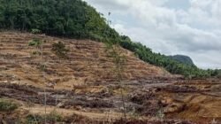 Tim Mediasi Diturunkan Selesaikan Dugaan Penyerobotan Lahan