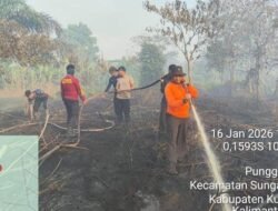 Karhutla Hanguskan 3,5 Hektare Lahan